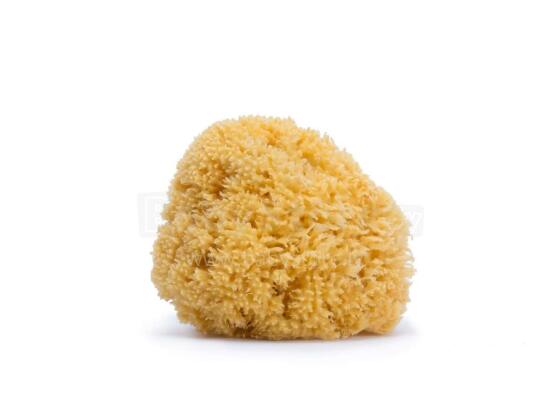 Suavinex Sponge Art.257282