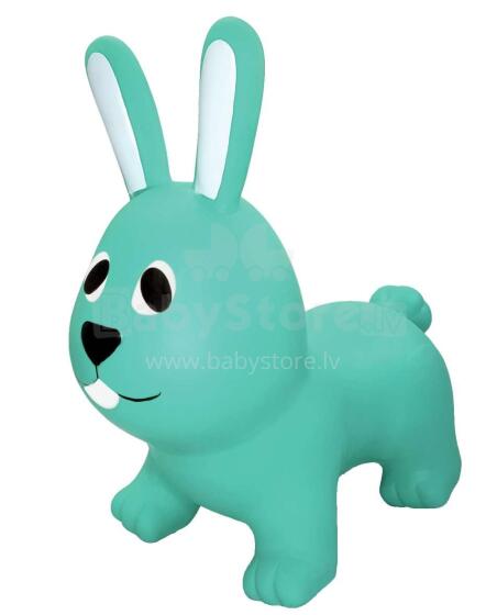 Jumpy Hopping Bunny Art.GT69331