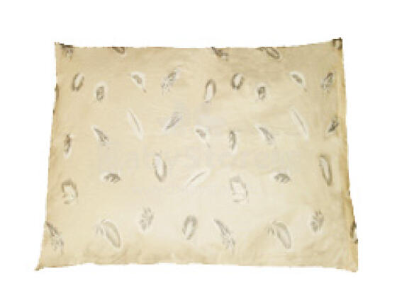 Buckwheat pillow 50 x 60 cm
