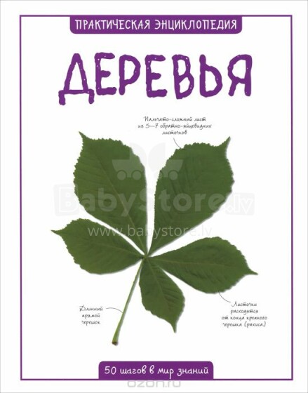 Encyclopedias 'Trees' (Russian language)