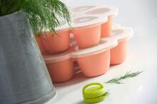 Beaba Multiportion Art.912805