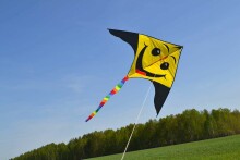 I-Toys Kite Art.A-0253 Воздушный змей,1шт