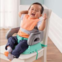 Summer Infant Deluxe Booster Seat Teal Grey Art.13526