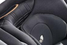Joie I-Harbour turvatool 40-105 cm, Carbon