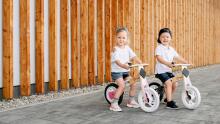 Lionelo Balance Bike Willy  Art.117908 Carbon   Jooksurattas puitraamiga