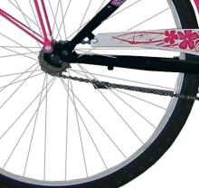 Coppi Taylor Collas 14