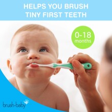 Brush Baby FirstBrush Art.BRB096