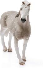 Schleich Horse Art.13859