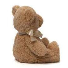 Gund My First Teddy Art.6048630