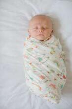 Lorelli Swaddle Muslin  Art.10340091909 Grey Dots