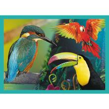 TREFL Animal Planet Pusle komplekt, 4 tk, Loomad