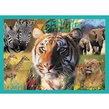 TREFL Animal Planet Pusle komplekt, 4 tk, Loomad