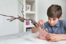 4M craft kit Dig a Pteranodon skeleton