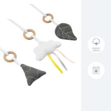 Doomoo beebipesa mängukaar