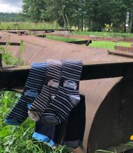 Weri Spezials Bērnu Zeķubikses Cars and Stripes Black ART.SW-2051 Augstas kvalitātes bērnu kokvilnas trīs zeķubikšu pāru komplekts zēniem