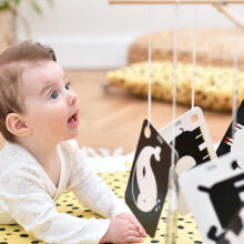 Banana Panda High Contrast Flash Cards on a Ring Art.03970 Mõistatused põrandale 10 tk