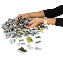 Ikonka Art.KX4365 CASTORLAND Puzzle 1000 elementi Prantsuse buldogi kutsikad - Prantsuse buldogid 68x47cm