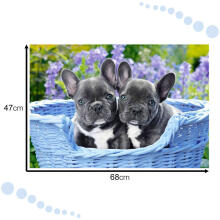Ikonka Art.KX4365 CASTORLAND Puzzle 1000 elementi Prantsuse buldogi kutsikad - Prantsuse buldogid 68x47cm