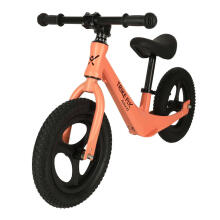 Ikonka Art.KX4357_1 Trike Fix Active X2 maastikuratas oranž