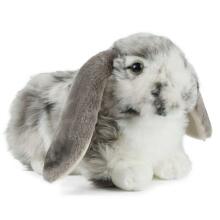 Keycraft Living Nature Dutch Lop Eared Rabbit Art.AN316G Grey Pehme Toy