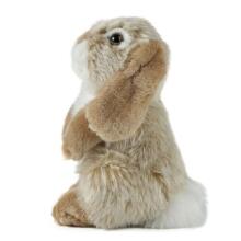 Keycraft Living Nature Dutch Lop Eared Rabbit Art.AN345B Brown Pehme Toy