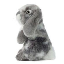 Living Nature Sitting Lop Eared Rabbit Art.AN345G Grey  Pehme Toy