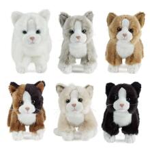 Keycraft Living Nature Cat Small Assorted Art.AN147 Pehme Toy