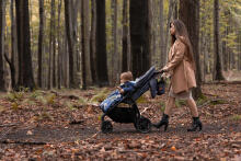 Stroller organizer – grey cranes