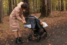 Stroller organizer – pink cranes