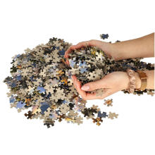 Ikonka Art.KX3702 CASTORLAND Puzzle 1000el. Nagu isa, nii poeg