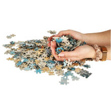 Ikonka Art.KX3703 CASTORLAND Puzzle 500el. Hommik mere ääres