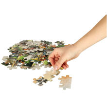 Ikonka Art.KX3707 CASTORLAND Puzzle 100el. Dinosauruste maailm