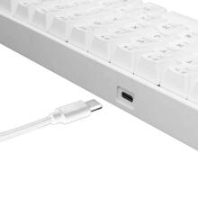 White Shark GK-2022 Shinobi Red Switch, White US