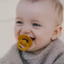 Bibs Colour Blush Art.173740, Pacifier, 100% natural