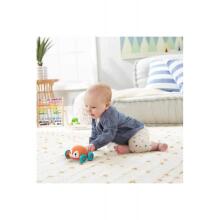 FISHER PRICE® veerevad ja paisuvad loomad , GTJ61