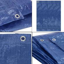 Present Springos GA2121 3 x 4m sinine