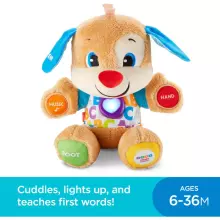 Fisher Price Laugh and Learn Lithuanian Learning Puppy Art. FPN77
