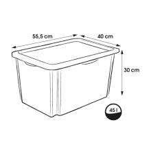 Box with lid 45L Karolina &amp;quot;Winnie the Pooh&amp;quot; 55,5x40x30cm transparent