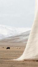 La bebe™ Merinos New Zeland  Art.213975 Merino wool blanket 65x90cm