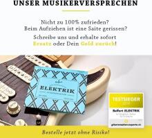 Guitar Strings Premium Electric  Guitar Strings Art.223272