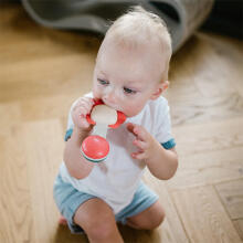 BabyOno Rattle Teething Toy Art.1590 Muusikaline kõrist
