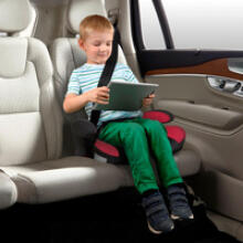Bebe Basic  Panda Art.16788 Blue  Laste iste 126-150cm (15-36 kg)