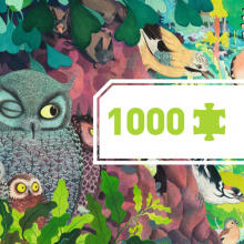 Pusle - Öökullid ja linnud - 1000 osa