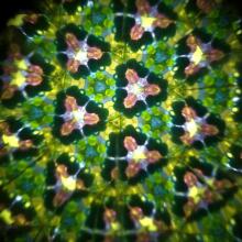Svoora - Pöörlev kaleidoskoop - Mets