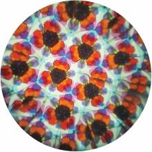Svoora - Pöörlev kaleidoskoop - Rüütel