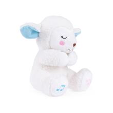 BALIBAZOO BB 80420 Alẽwo ƒe alɔ̃dɔdɔ le ŋutifafa me