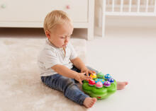 DUMEL DD 62371 Mushroom ƒe hadzidzi