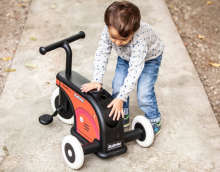 Italtrike La Cosa 2 Bike 2 in 1 Art.238316 Kids tricycle