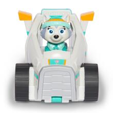 PAW PATROL sõiduk Basic Sustainable Everest, 6071217
