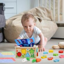 Focenat Montessori Wooden Toy 9-in-1 Art.241410    Montessori puidust pusle